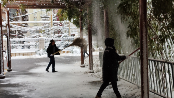 圖片8_副本.png 圖片8_副本.png